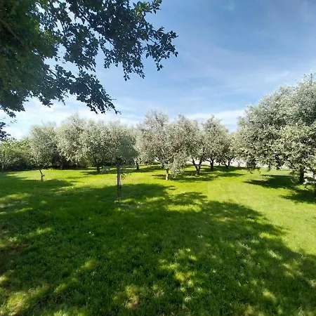 Hacienda Matea An Oasis Of Romance Near The Beaches, Surrounded By Olive Trees, Pool, Jacuzzi And Playground, - Istria Вилла *