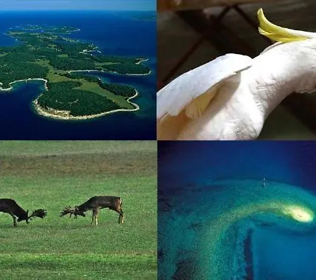 Kuca U Prirodi Villa