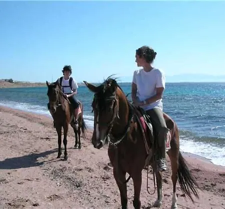 Hacienda Matea An Oasis Of Romance Near The Beaches, Surrounded By Olive Trees, Pool, Jacuzzi And Playground, - Istria * Pula