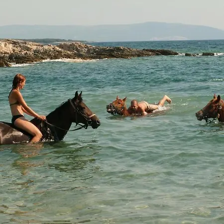 别墅 Hacienda Matea - Oasis Of Romance Near The Beaches, Surrounded By Olive Trees, Pool, Jacuzzi And Playground, - Istria *