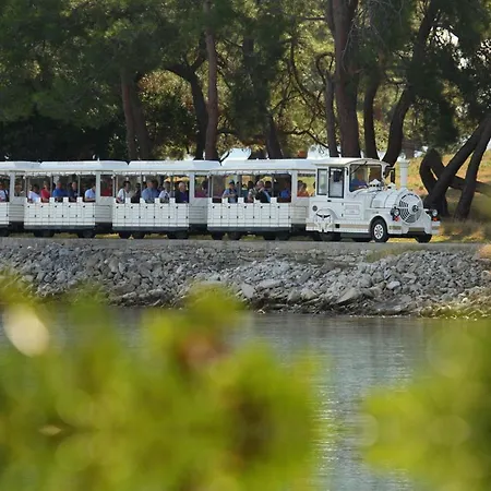 Hacienda Matea An Oasis Of Romance Near The Beaches, Surrounded By Olive Trees, Pool, Jacuzzi And Playground, - Istria *