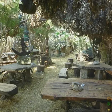 Hacienda Matea An Oasis Of Romance Near The Beaches, Surrounded By Olive Trees, Pool, Jacuzzi And Playground, - Istria Villa