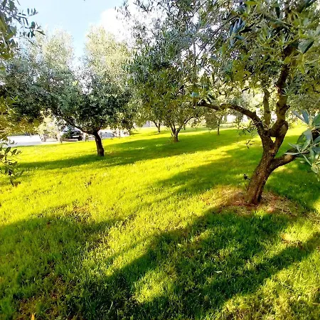 Hacienda Matea An Oasis Of Romance Near The Beaches, Surrounded By Olive Trees, Pool, Jacuzzi And Playground, - Istria Pula