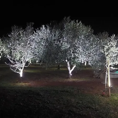 Hacienda Matea - Oasis Of Romance Near The Beaches, Surrounded By Olive Trees, Pool, Jacuzzi And Playground, - Istria