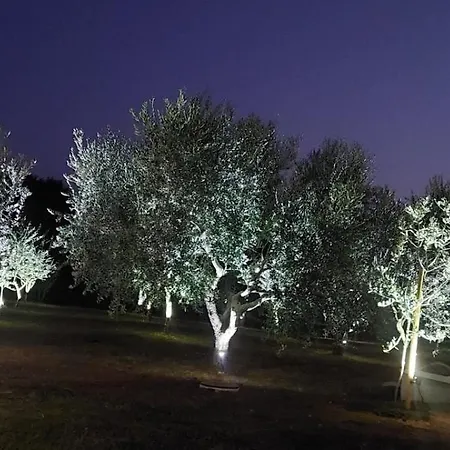 Hacienda Matea - Oasis Of Romance Near The Beaches, Surrounded By Olive Trees, Pool, Jacuzzi And Playground, - Istria * 普拉