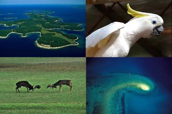 Hacienda Matea - Oasis Of Romance Near The Beaches, Surrounded By Olive Trees, Pool, Jacuzzi And Playground, - Istria Vila