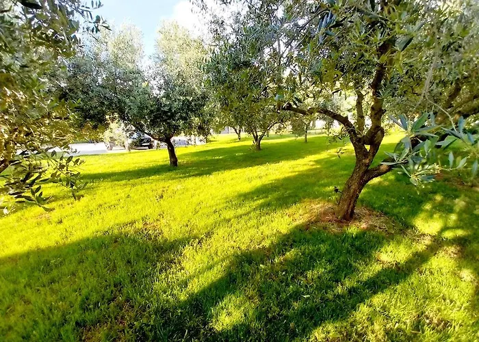 Hacienda Matea - Oasis Of Romance Near The Beaches, Surrounded By Olive Trees, Pool, Jacuzzi And Playground, - Istria Pula