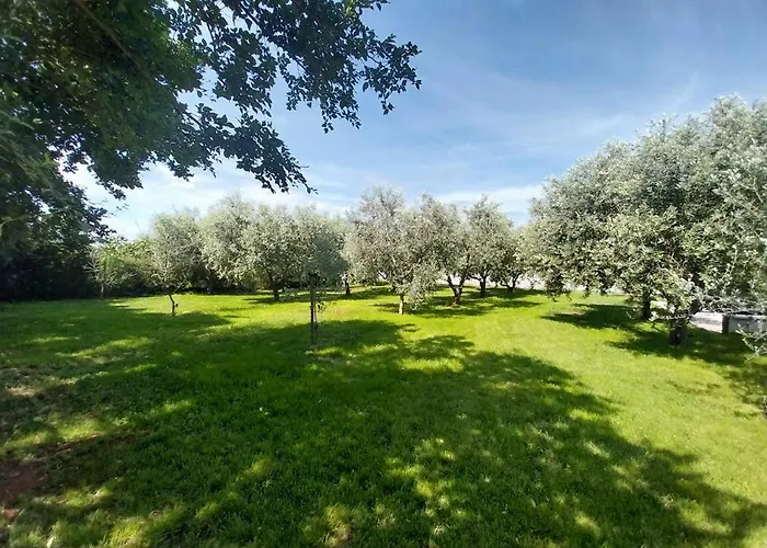 Hacienda Matea - Oasis Of Romance Near The Beaches, Surrounded By Olive Trees, Pool, Jacuzzi And Playground, - Istria Vila *