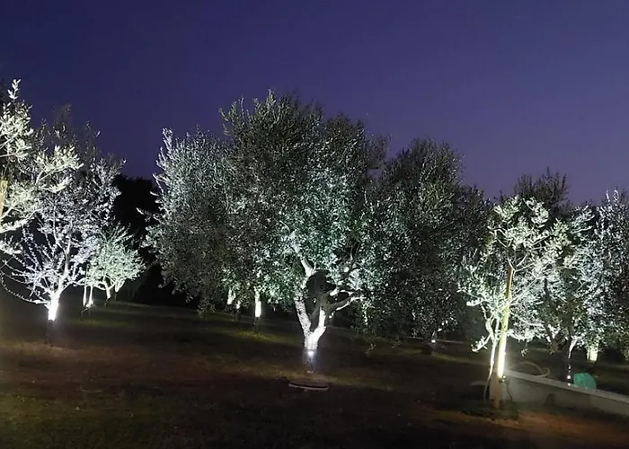 Hacienda Matea - Oasis Of Romance Near The Beaches, Surrounded By Olive Trees, Pool, Jacuzzi And Playground, - Istria * Pula