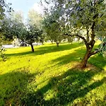 Hacienda Matea - Oasis Of Romance Near The Beaches, Surrounded By Olive Trees, Pool, Jacuzzi And Playground, - Istria Pula