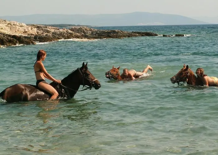 Villa Hacienda Matea - Oasis Of Romance Near The Beaches, Surrounded By Olive Trees, Pool, Jacuzzi And Playground, - Istria *