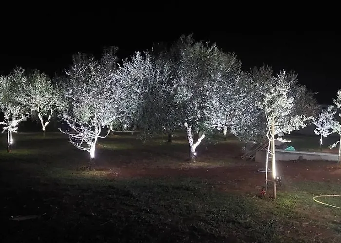 Hacienda Matea - Oasis Of Romance Near The Beaches, Surrounded By Olive Trees, Pool, Jacuzzi And Playground, - Istria